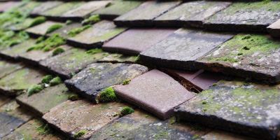 The Narth roof repair costs